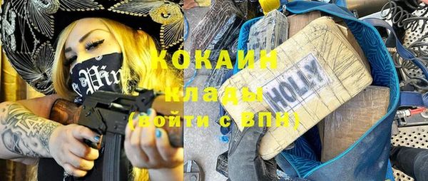 индика Балахна