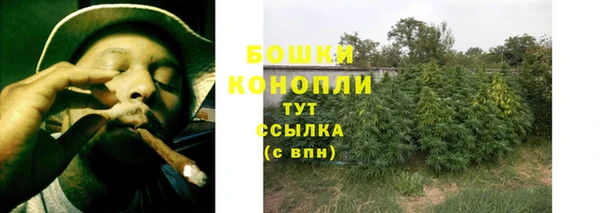 индика Кодинск