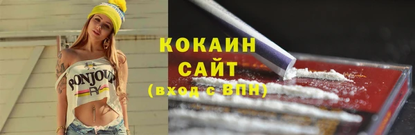 индика Балахна