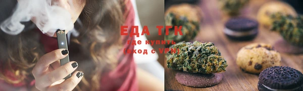 индика Балахна