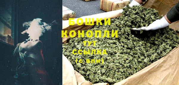 индика Балахна