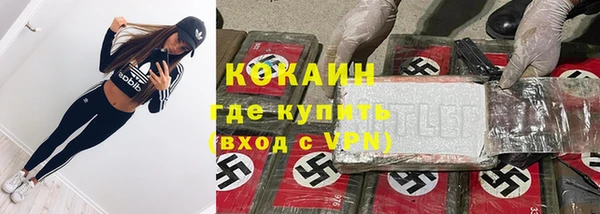 индика Балахна