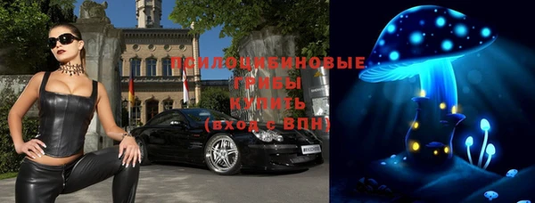 индика Балахна