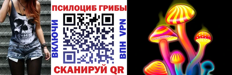дарнет шоп  Горняк  Галлюциногенные грибы мицелий 